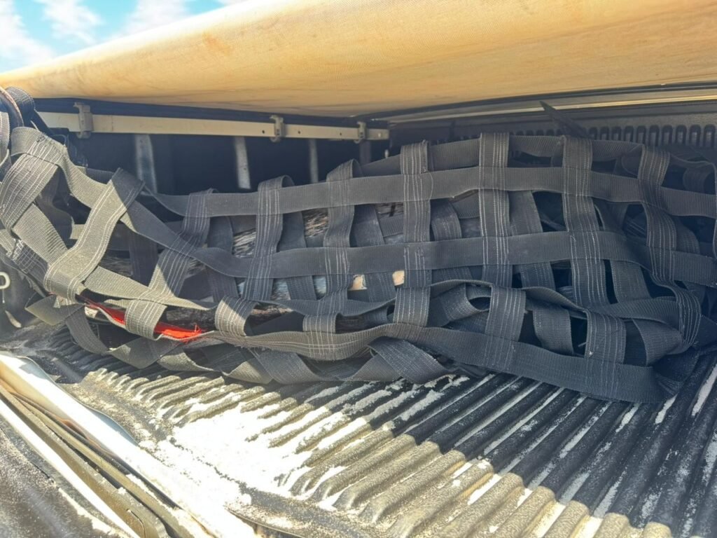 Terceiro golfinho morre após encalhe em praia da Grande Natal