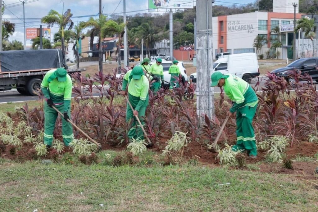Natal ganha novo paisagismo na Avenida Roberto Freire Natal ganha novo paisagismo na Avenida Roberto Freire