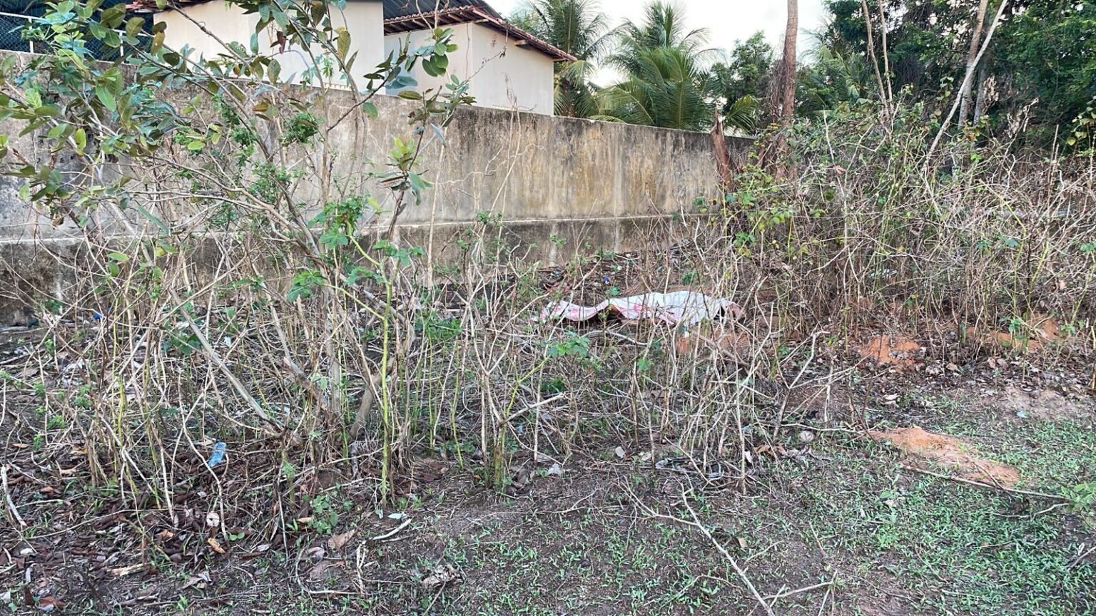 Jovem é morto a tiros após perseguição em São José de Mipibu Jovem é morto a tiros após perseguição em São José de Mipibu