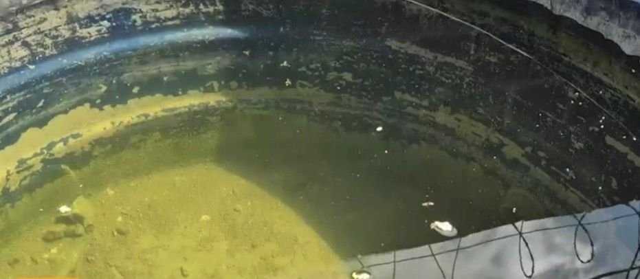 **Enxame de abelhas fere sete trabalhadores em obra na Zona Leste de Natal** **Enxame de abelhas fere sete trabalhadores em obra na Zona Leste de Natal**