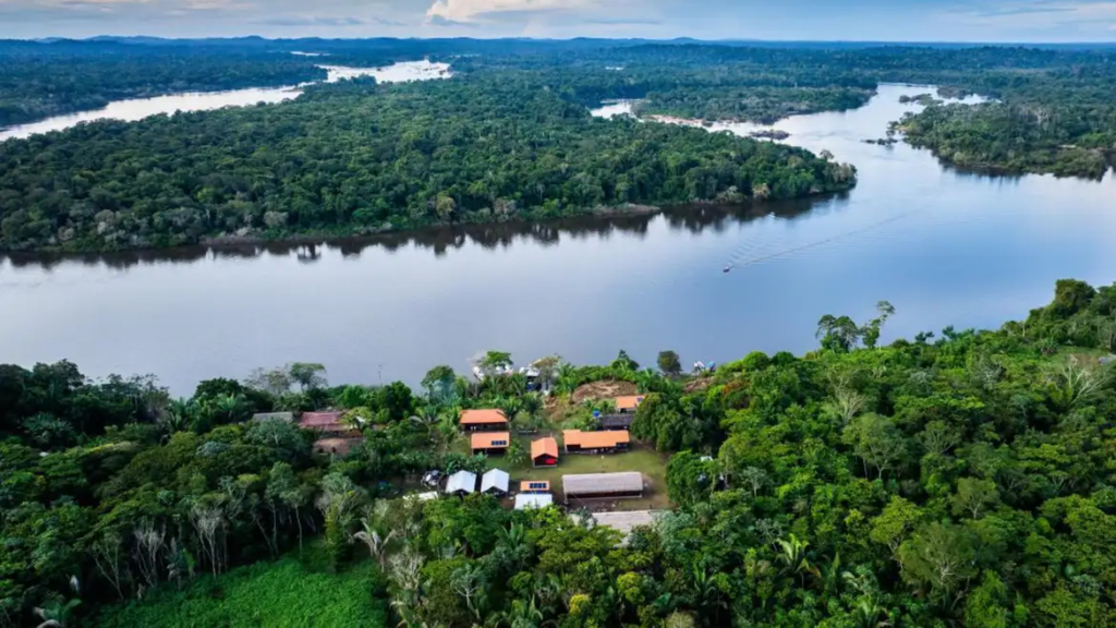 Fundo Amazônia investe R$ 80 milhões para apoiar produção agrícola na Amazônia Fundo Amazônia investe R$ 80 milhões para apoiar produção agrícola na Amazônia