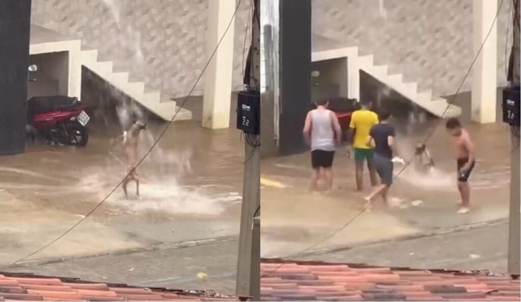 Chuva traz alegria no sertão do RN e vídeo viraliza nas redes