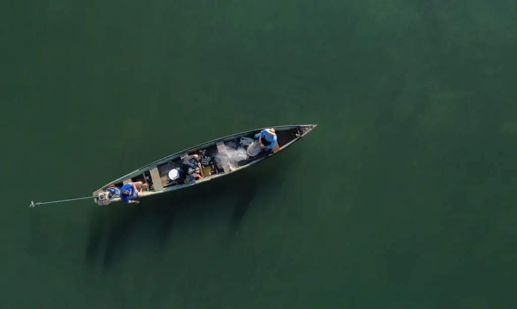 Ministério da Pesca cancela 76 mil licenças por irregularidades