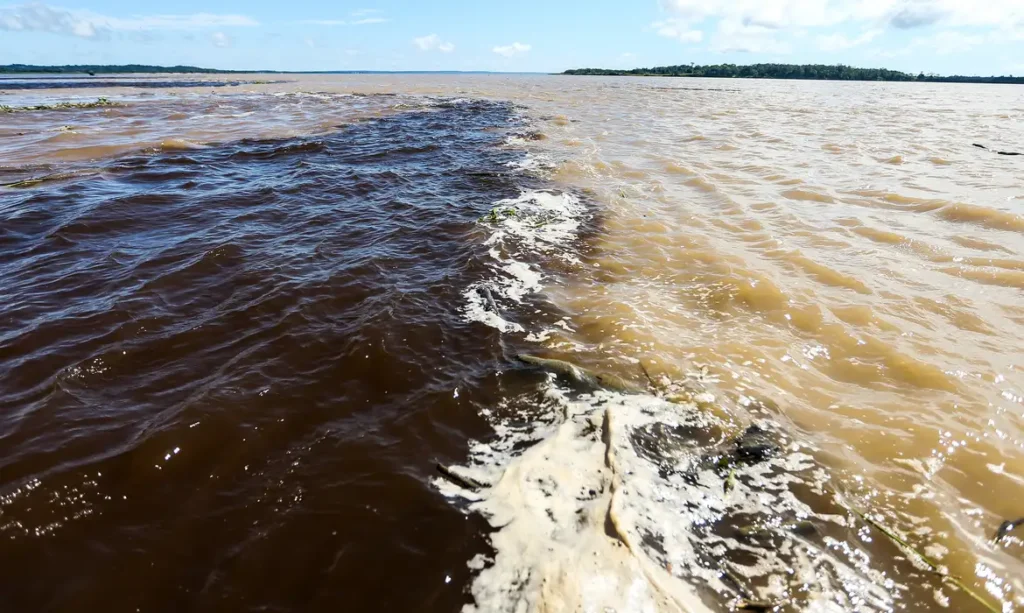 Naufrágio no Amazonas deixa 2 mortos e 7 desaparecidos Naufrágio no Amazonas deixa 2 mortos e 7 desaparecidos