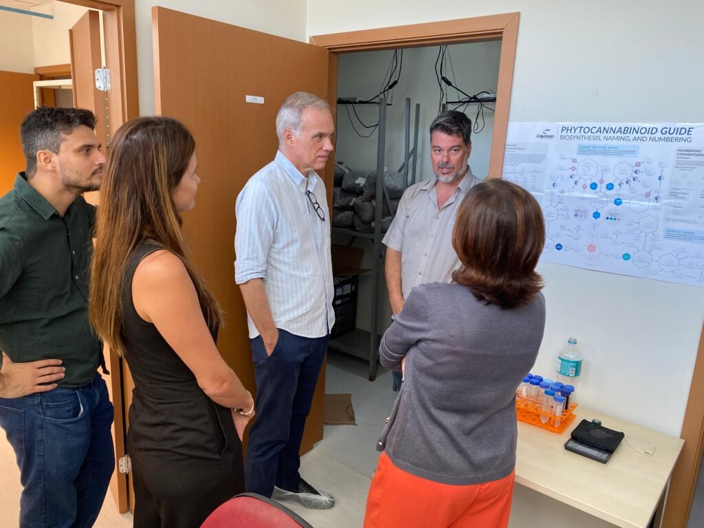 UFRN começa cultivo de maconha para estudos científicos UFRN começa cultivo de maconha para estudos científicos