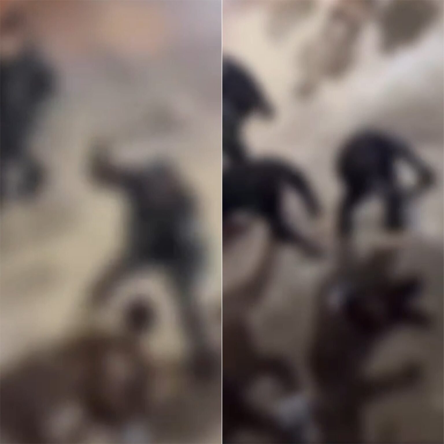 **Jovem surdo é agredido por seguranças em carnaval no RN**