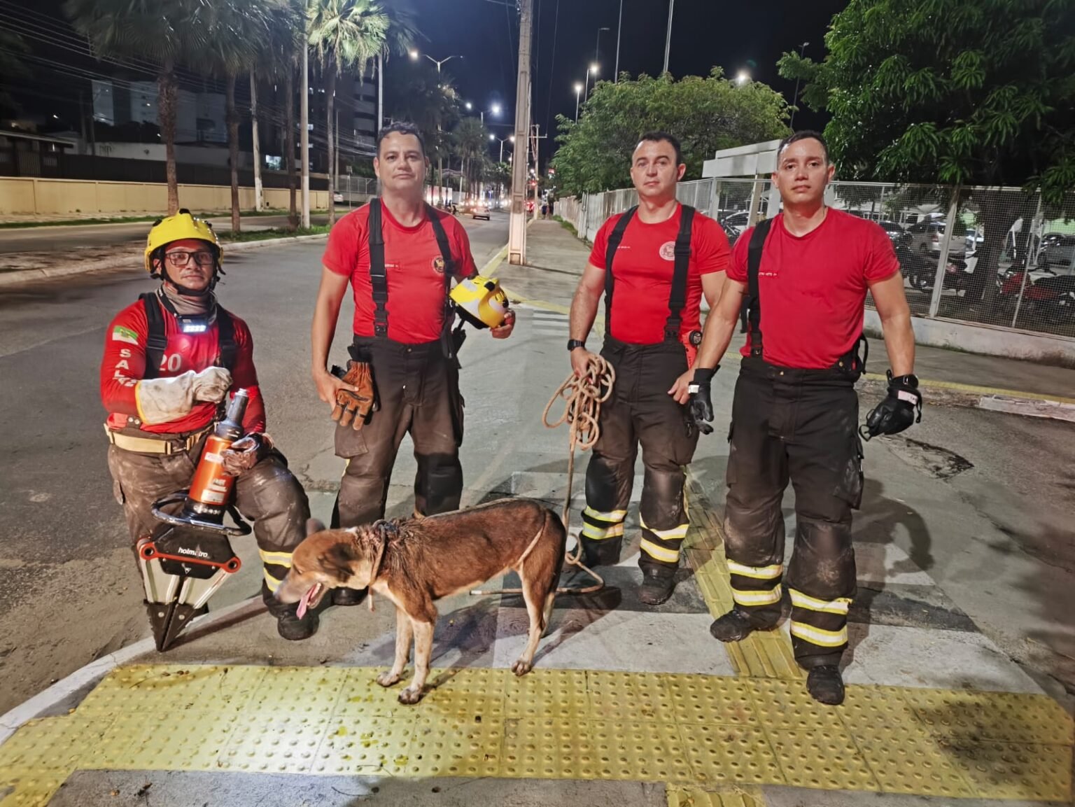 Bombeiros resgatam cachorro preso em esgoto em Mossoró
