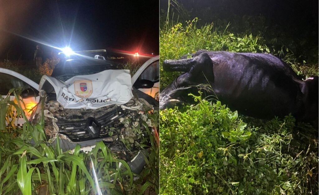 Viatura da PM bate em vaca e sai da pista na BR-405 no RN