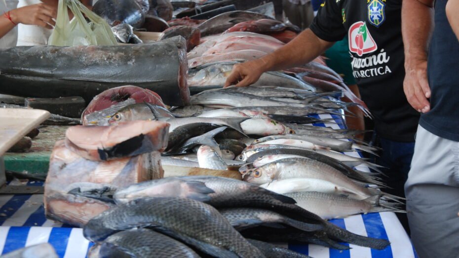 Venda de peixe despenca em Natal após surtos de intoxicação