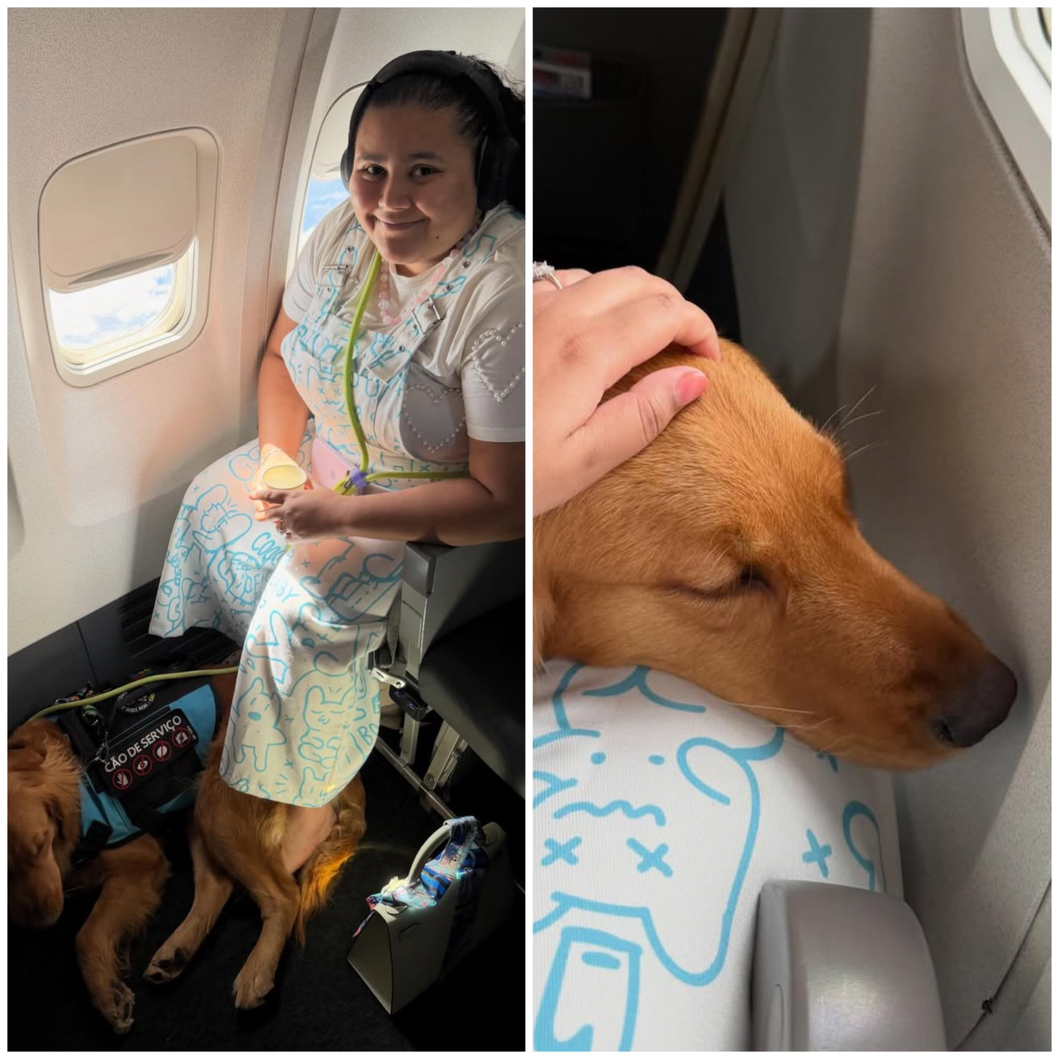 Influenciadora autista é barrada em voo com cão de serviço em Maceió