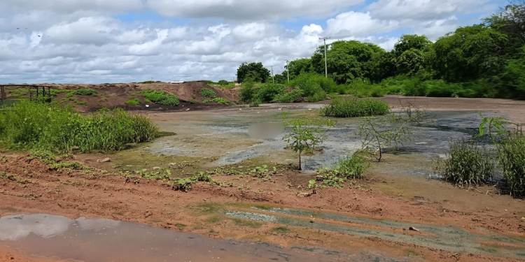Homem é achado morto em manguezal na zona rural de Tibau