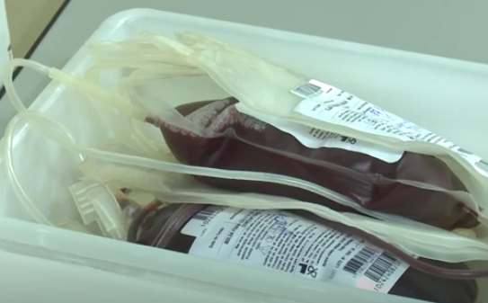 Hemocentro de Mossoró pede doações de sangue antes das festas juninas