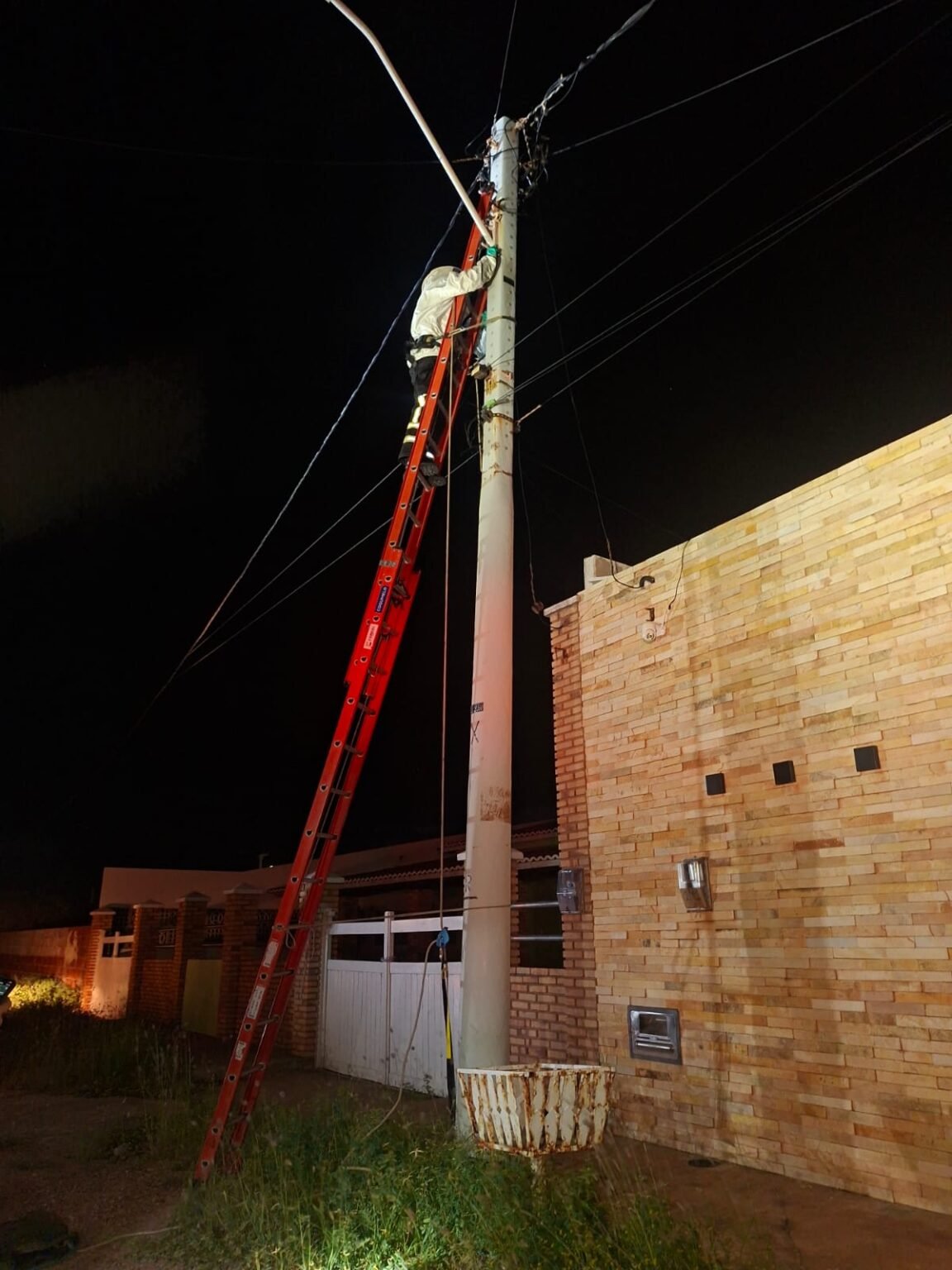 Bombeiros atendem seis chamados por enxames de abelhas em Mossoró em um só dia