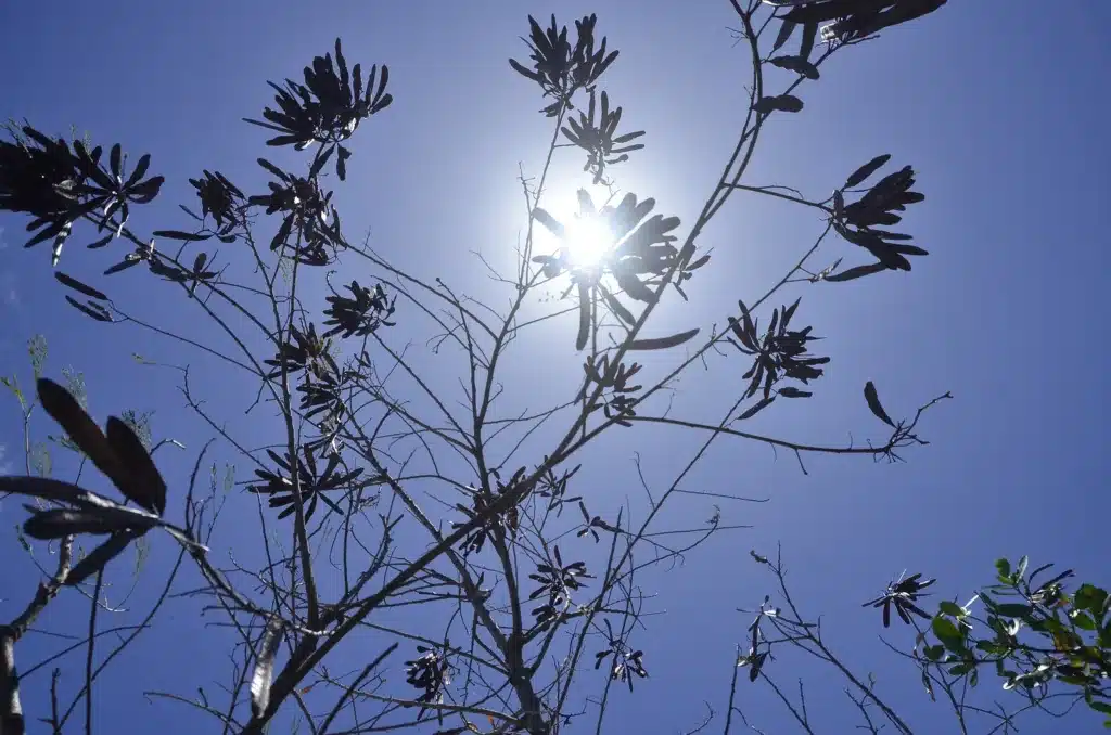 Junho terá temperaturas acima da média em quase todo o Brasil