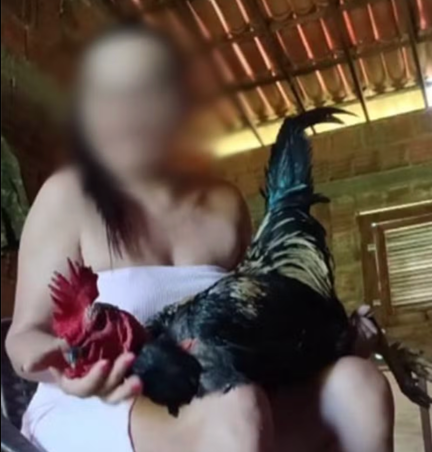 Mulher é investigada por maus-tratos a animais no RN