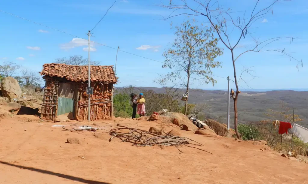 Instituto libera R$ 4 milhões para projetos de adaptação à crise climática
